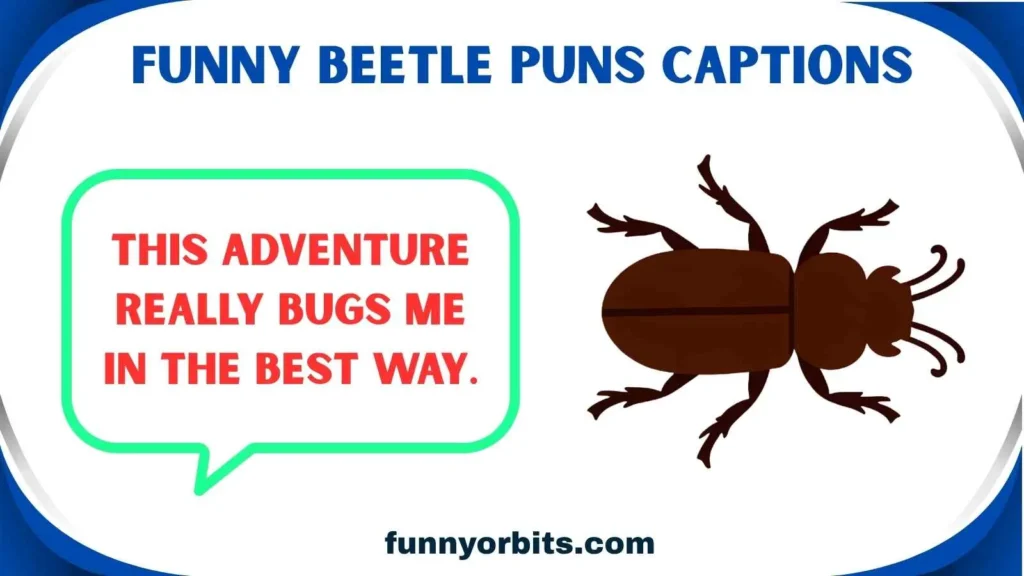 Funny Beetle Puns Captions