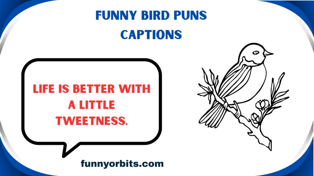 Funny Bird Puns Captions