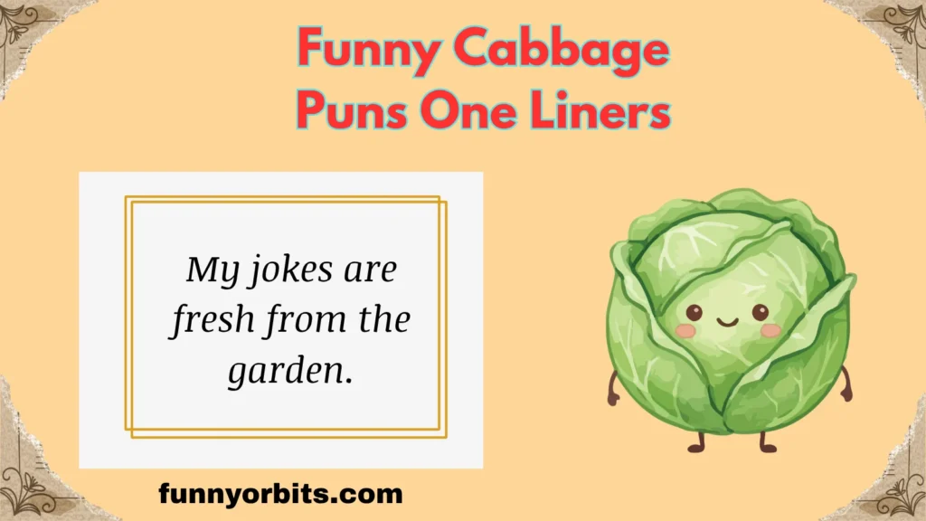 Funny Cabbage Puns One Liners