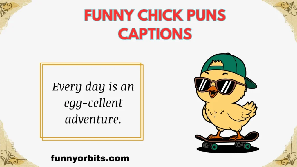 Funny Chick Puns Captions