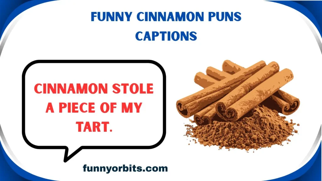 Funny Cinnamon Puns Captions