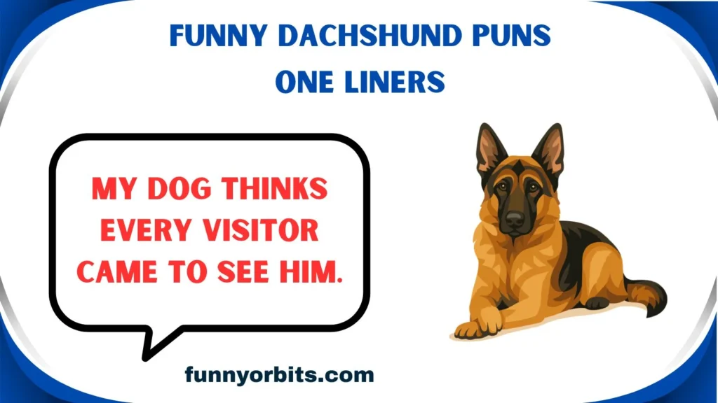 Funny Dachshund Puns One Liners