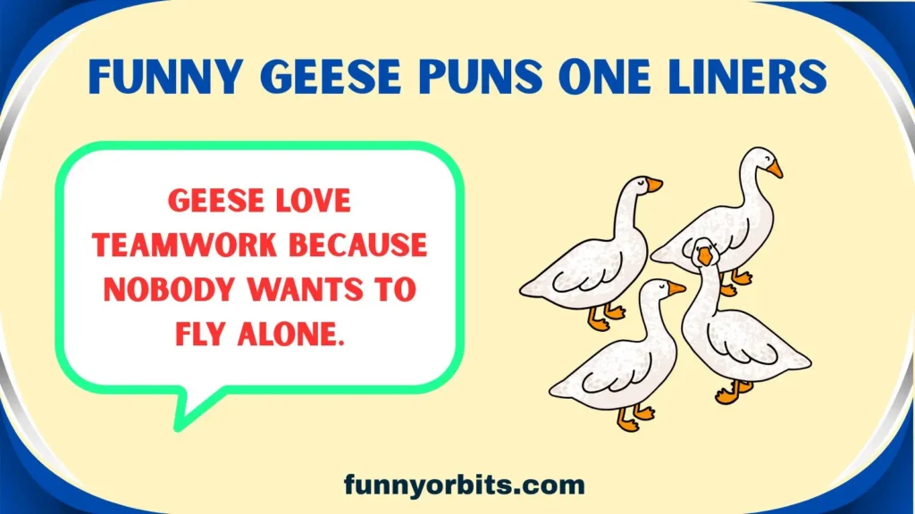 Funny Geese Puns One Liners
