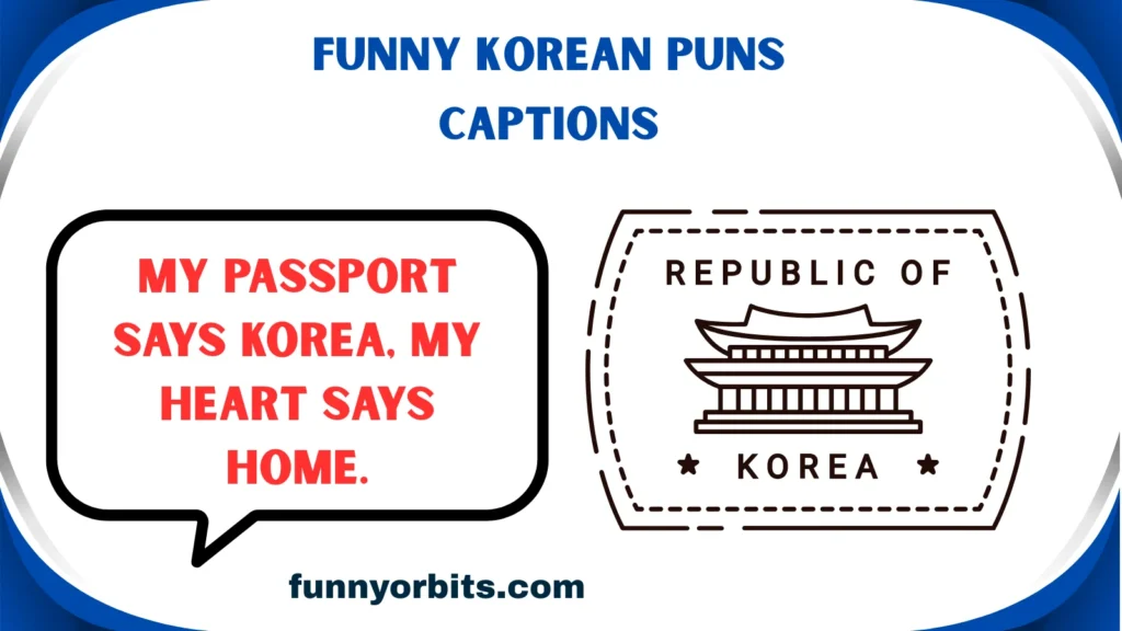 Funny Korean Puns Captions
