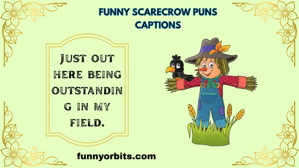 Funny Scarecrow Puns Captions