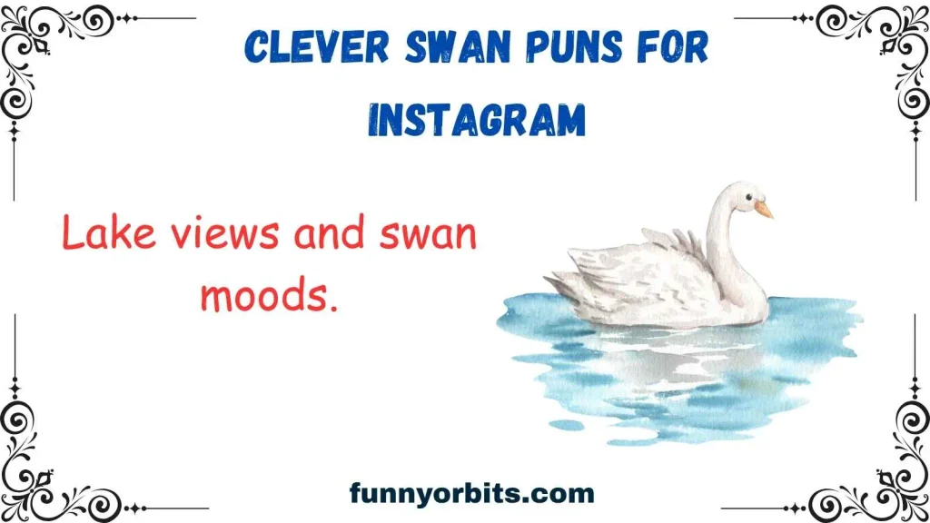 Clever Swan Puns for Instagram