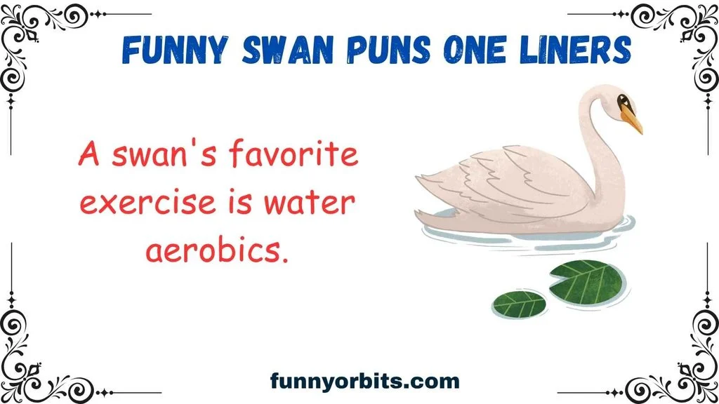 Funny Swan Puns One Liners