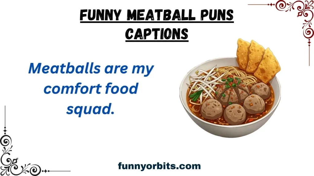 Funny Meatball Puns Captions