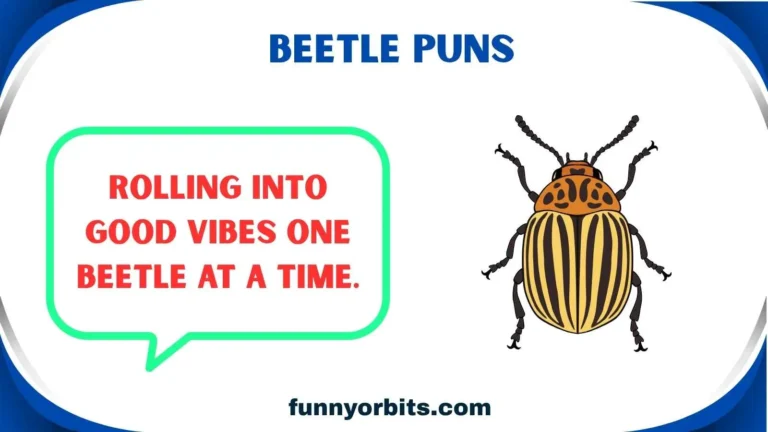 beetle puns