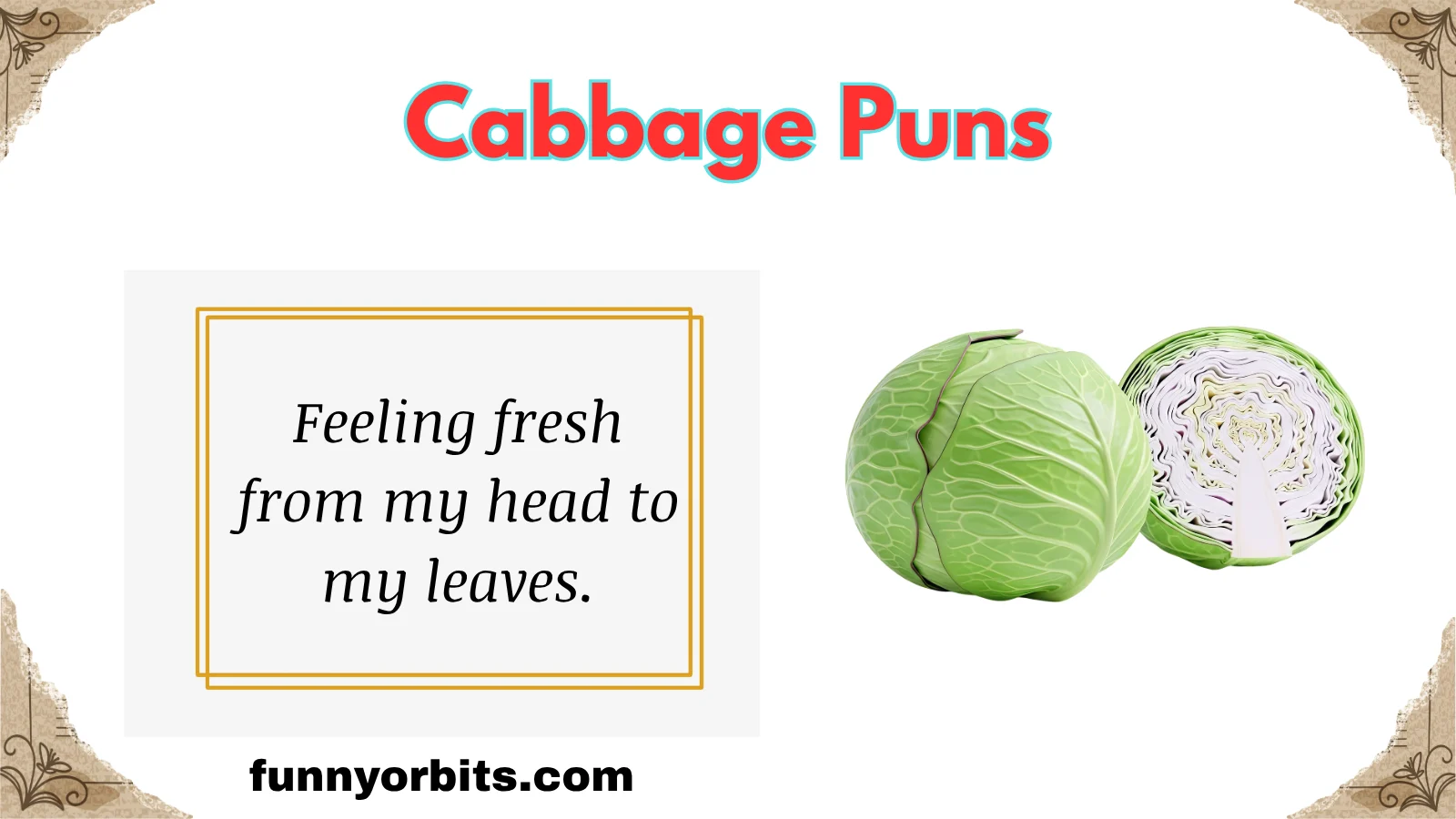 cabbage puns