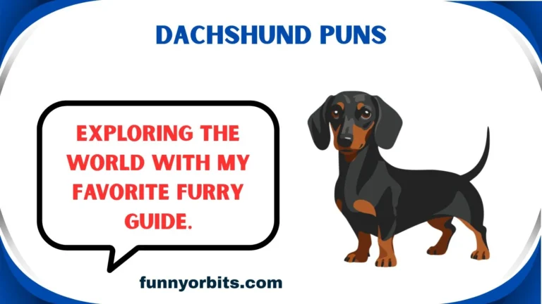 dachshund puns