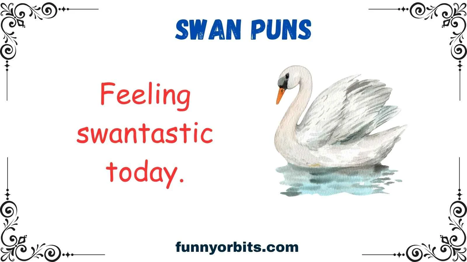 swan puns