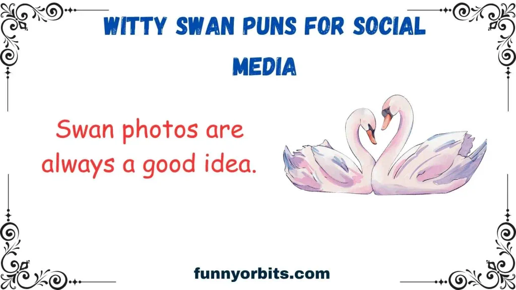 Witty Swan Puns for Social Media